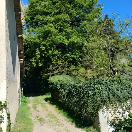 Grand Bois Avec Terrasse *